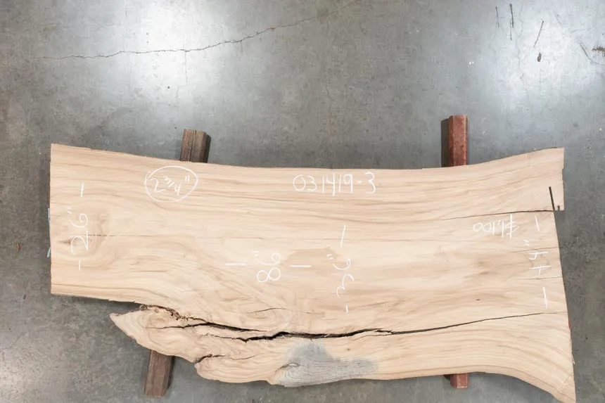 031419-03 Elm Slab