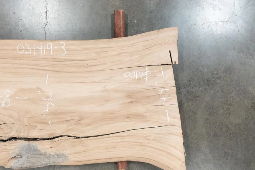 031419-03 Elm Slab