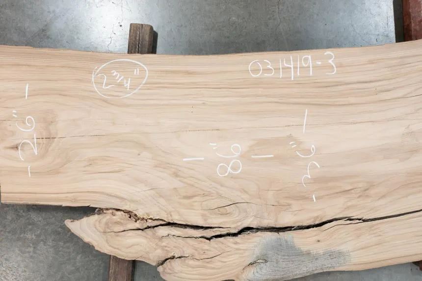 031419-03 Elm Slab