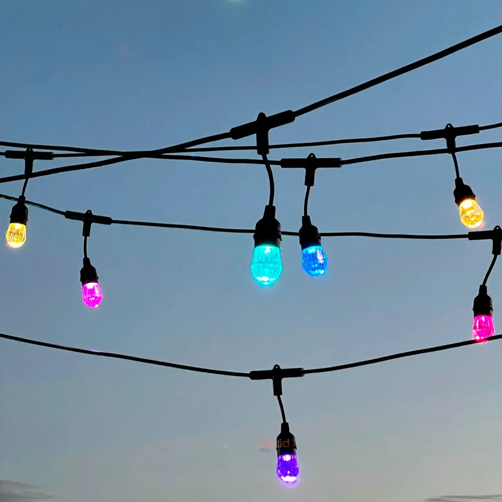 15m Smart Festoon String Lights with 15 LED Bulbs