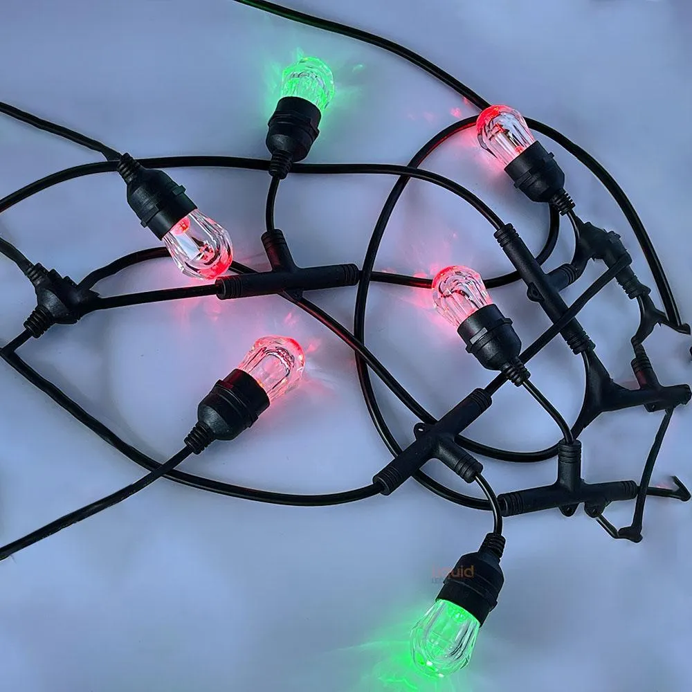 15m Smart Festoon String Lights with 15 LED Bulbs