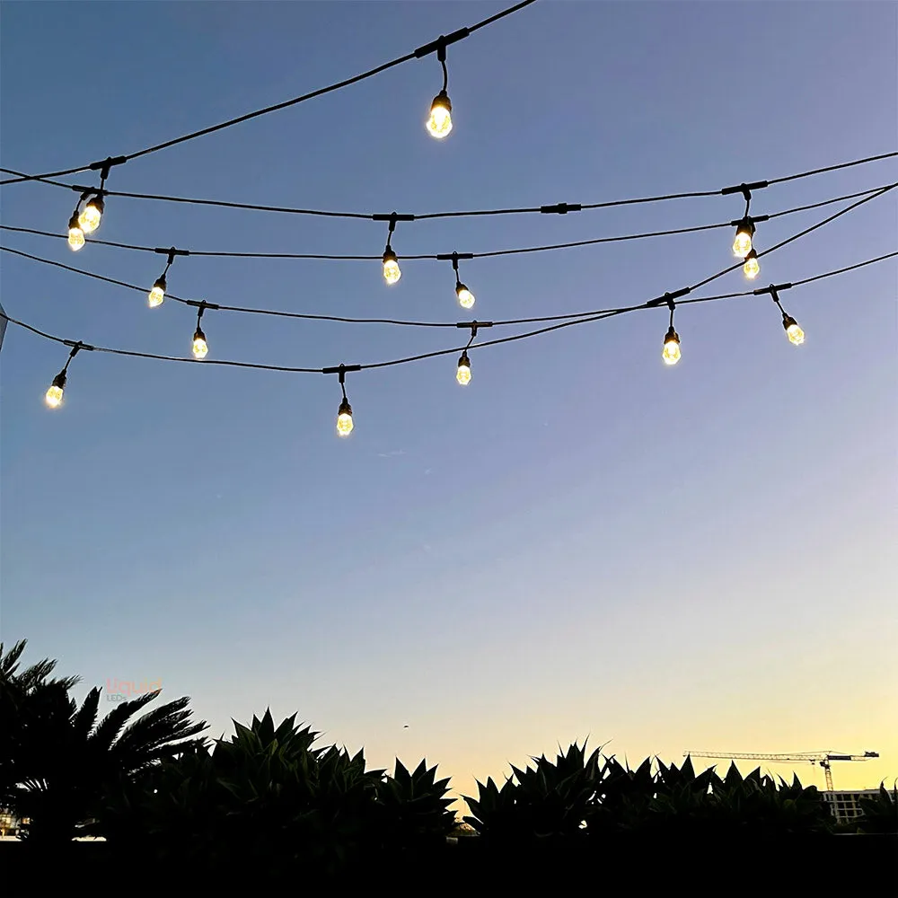 15m Smart Festoon String Lights with 15 LED Bulbs