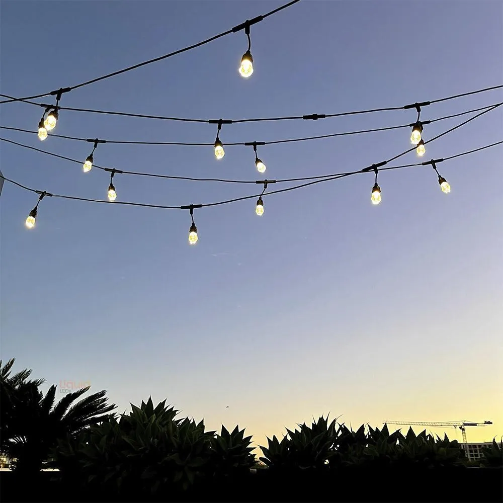 15m Smart Festoon String Lights with 15 LED Bulbs