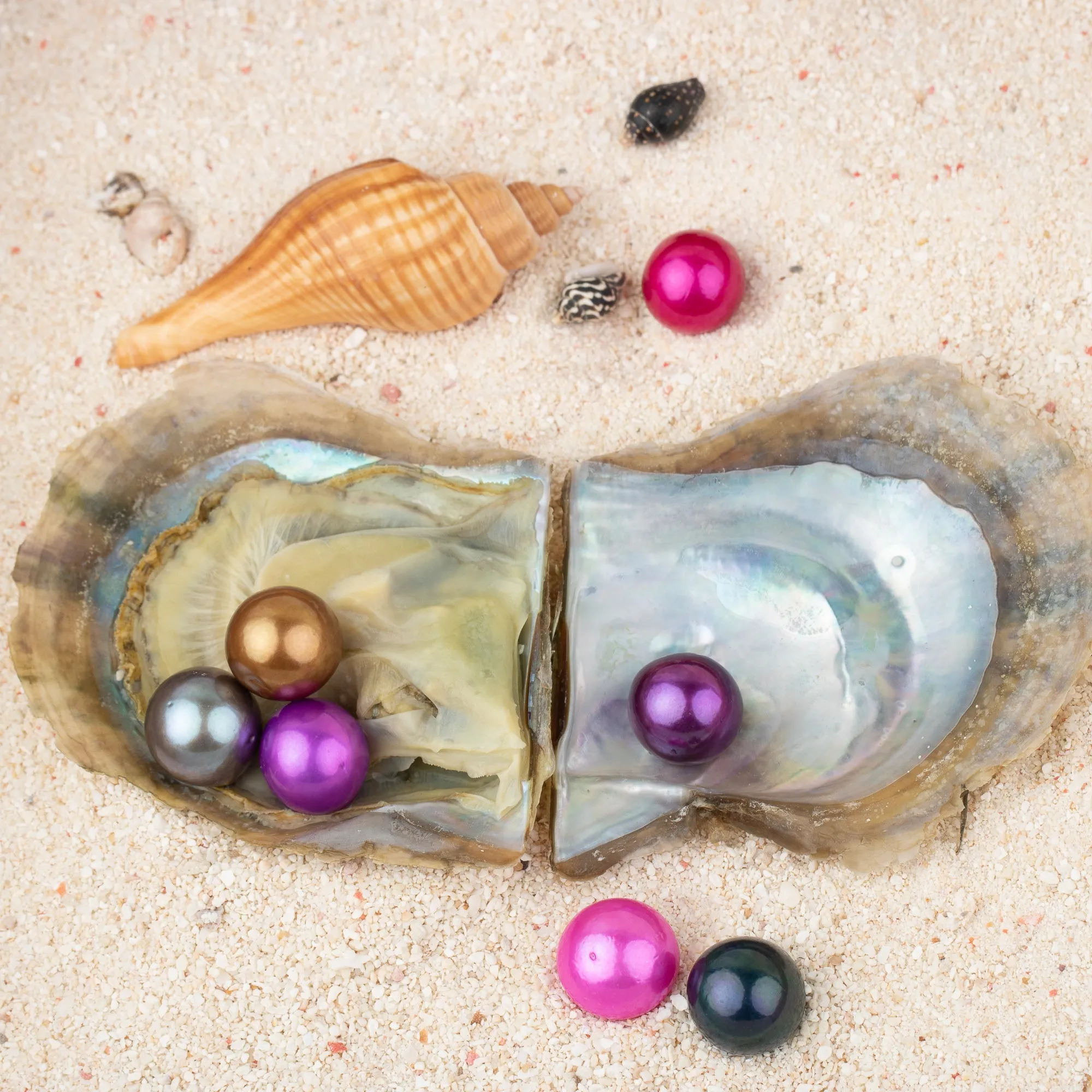 Love Wish Pearl Party Gift Vacuum-packed 9-13mm aaaa quality Loose Saltwater Round Cultured edison Oyster