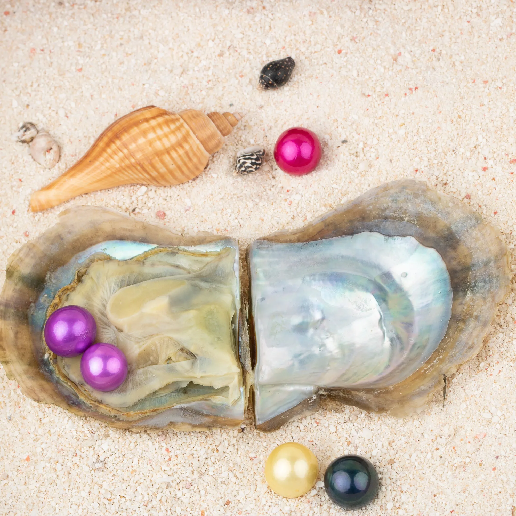 Love Wish Pearl Party Gift Vacuum-packed 9-13mm aaaa quality Loose Saltwater Round Cultured edison Oyster