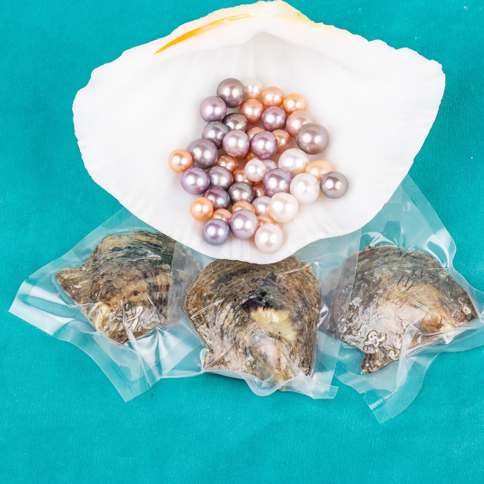 Love Wish Pearl Party Gift Vacuum-packed 9-13mm aaaa quality Loose Saltwater Round Cultured edison Oyster