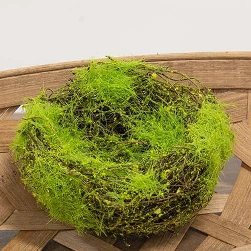 Mossy Vine Covered Bird Nest