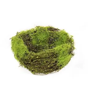 Mossy Vine Covered Bird Nest