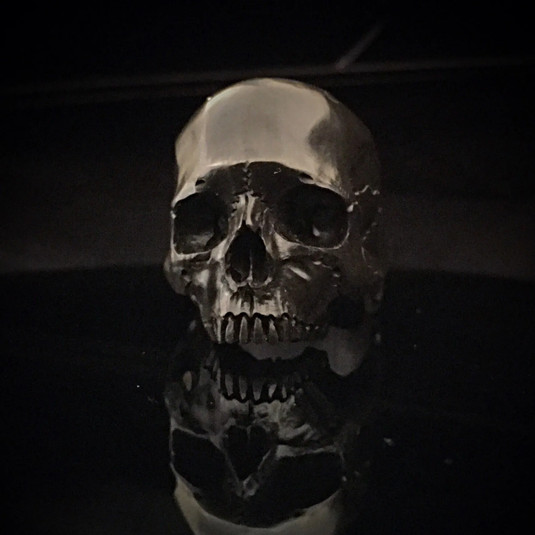 Night Marble Skull Ring